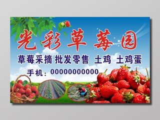 草莓生鲜水果草莓园采摘宣传海报